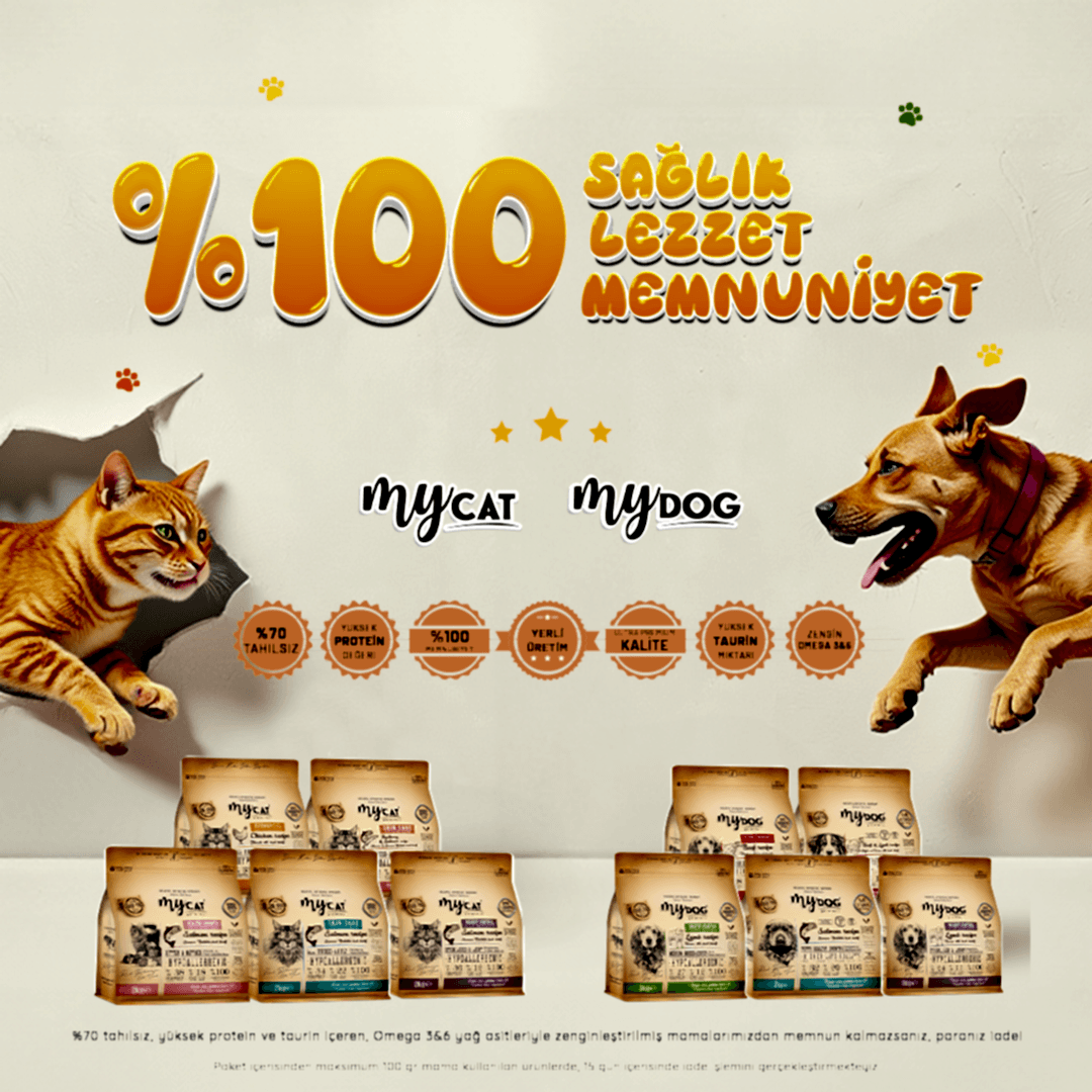 %100 Memnuniyet - Web