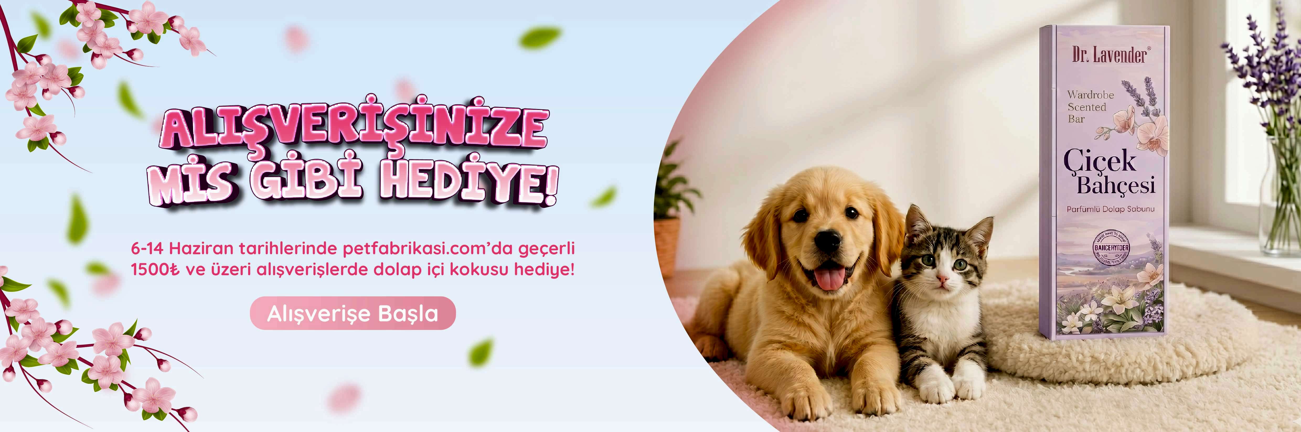 Oda Kokusu Hediye - Web